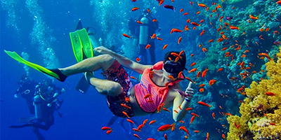 Snorkeling at Mnemba Atoll