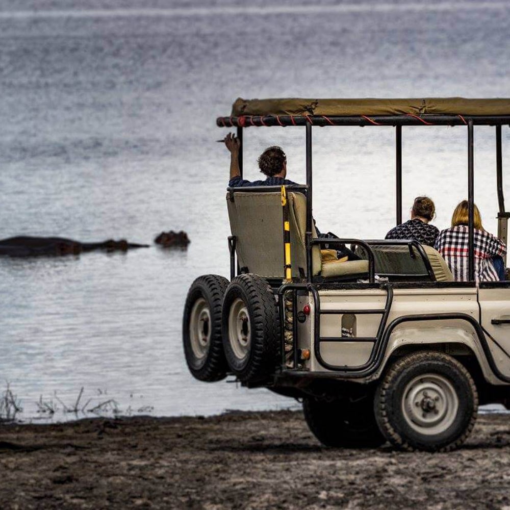 Day Trip to Selous Game Reserve from Zanzibar