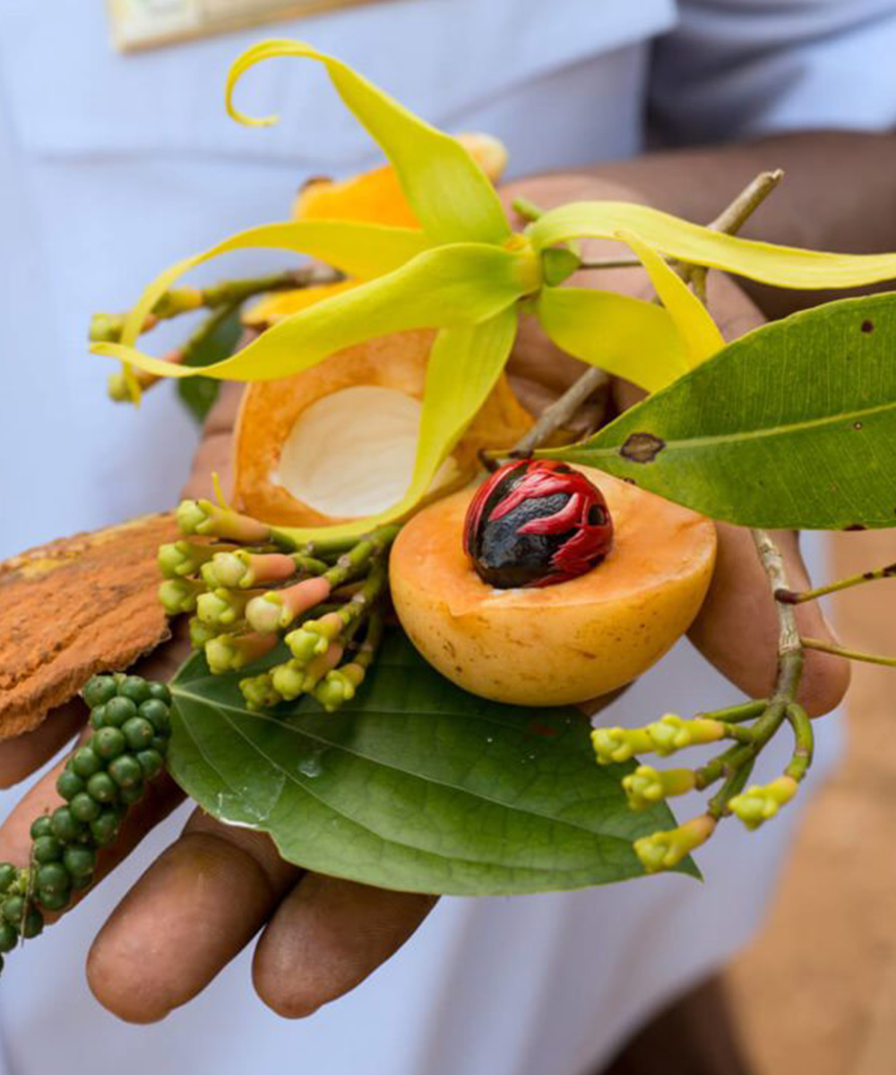 Zanzibar Cooking Lesson