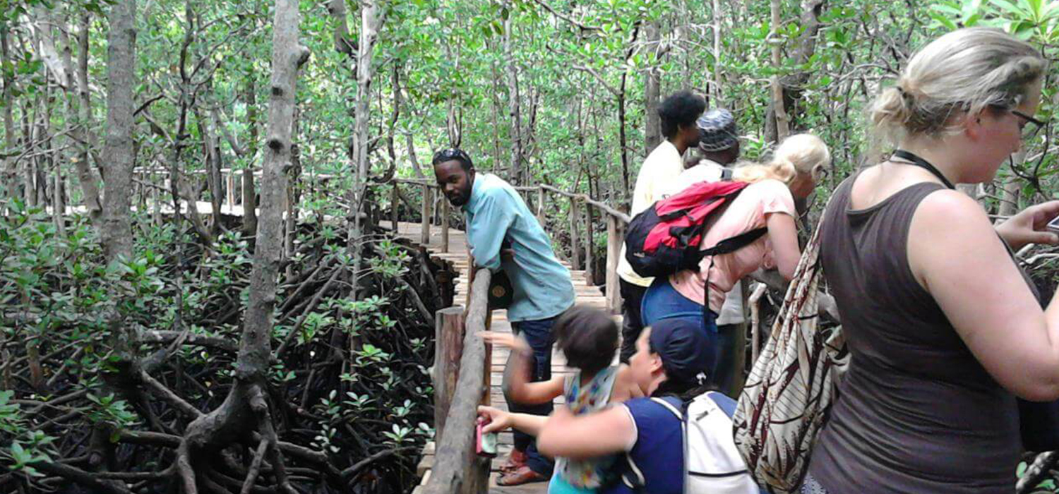 Jozani Forest Tour
