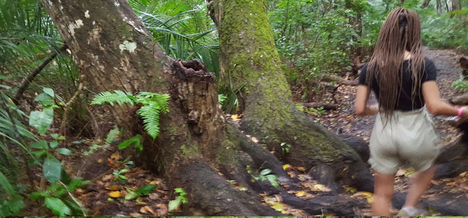 Jozani Forest Tour