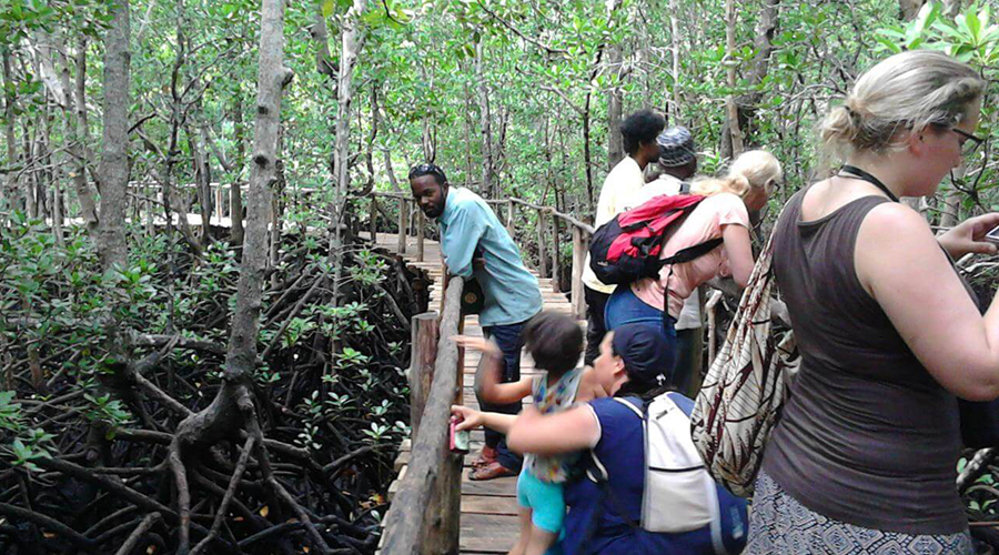 Jozani Forest Tour