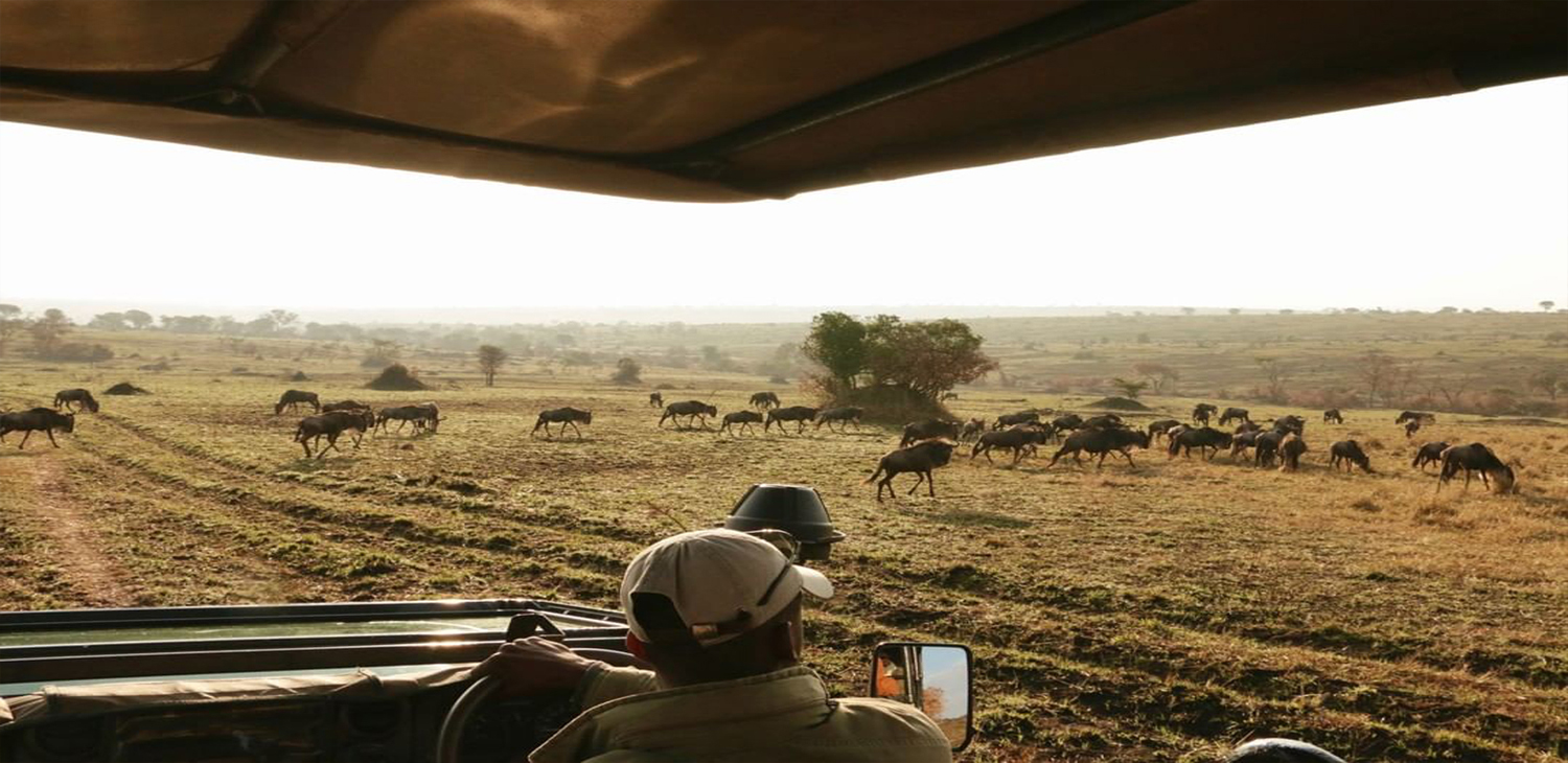 Safaris Package