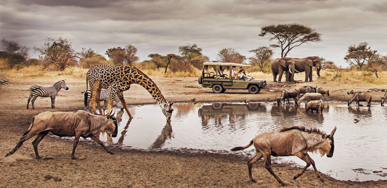 Safaris Package