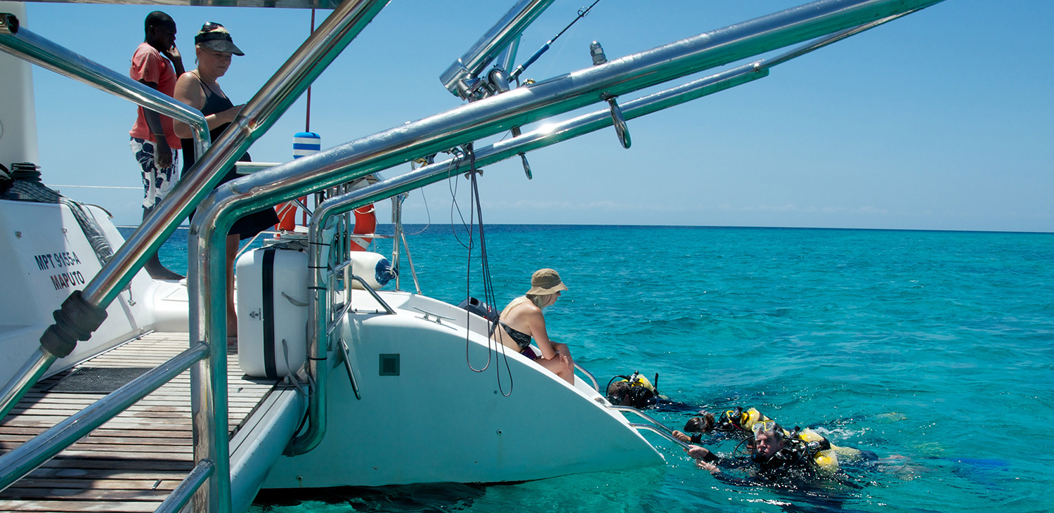 Luxury Catamaran Trip