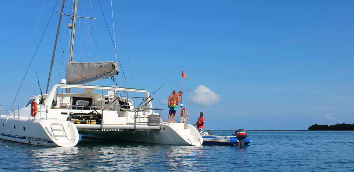 Luxury Catamaran Trip