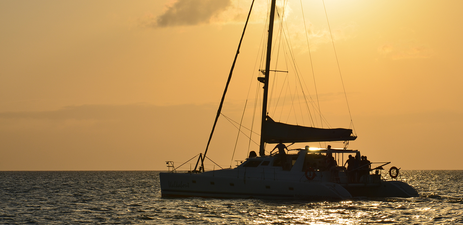 Luxury Catamaran Trip