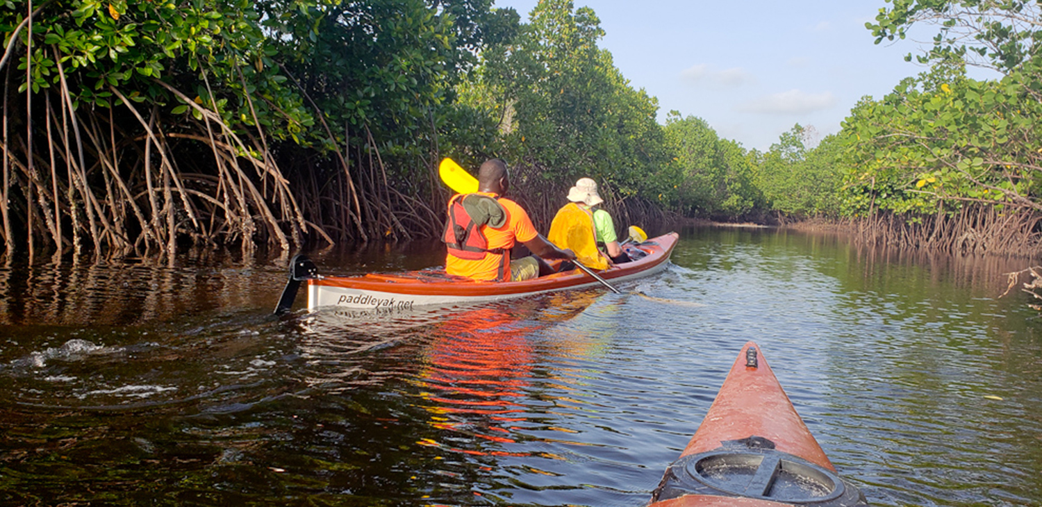 Kayak Adventure