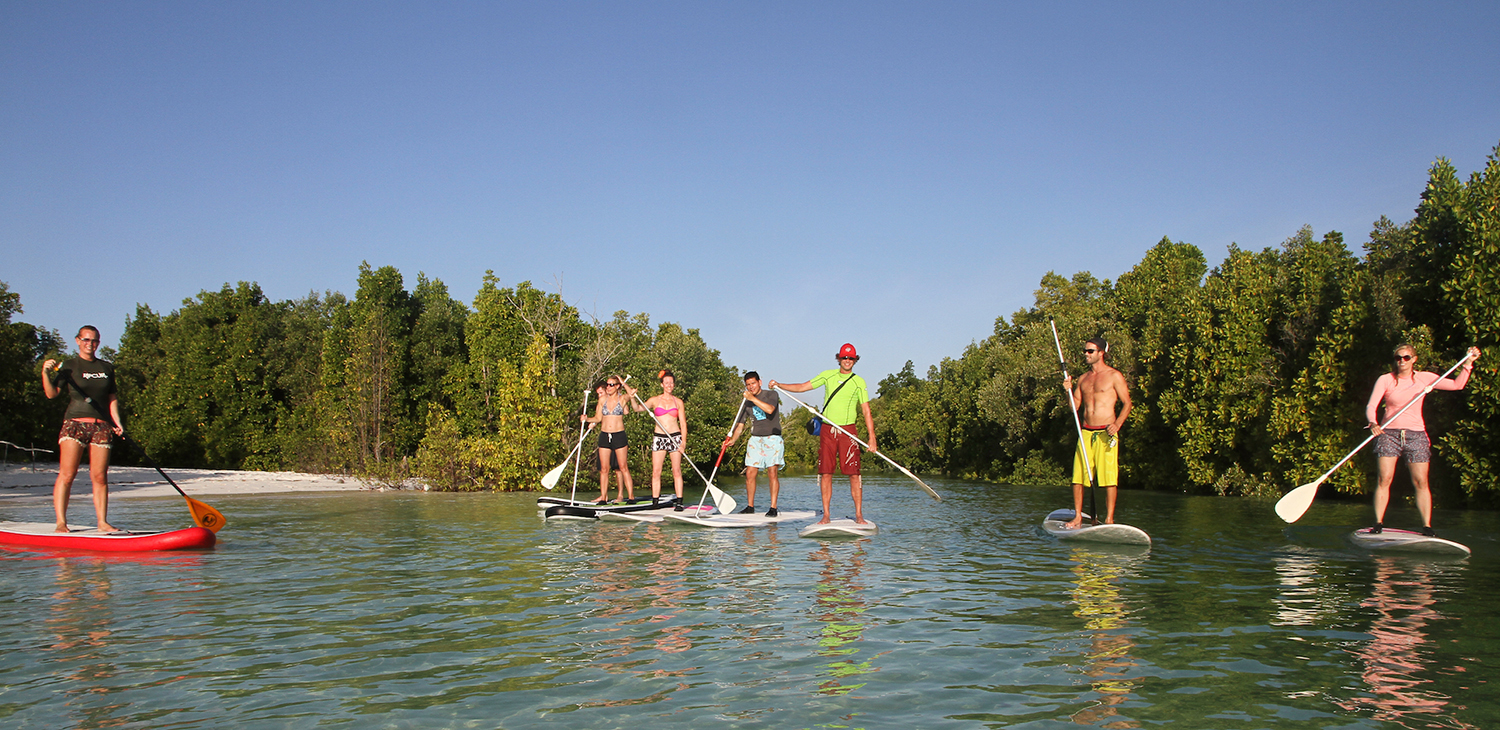 Stand Up Paddling