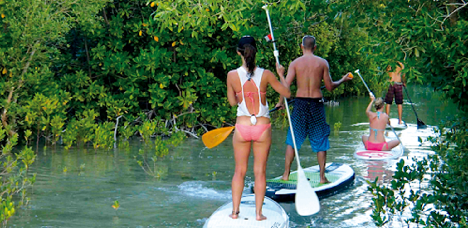 Stand Up Paddling