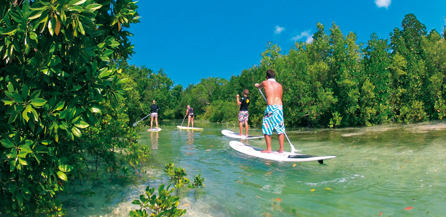 Stand Up Paddling
